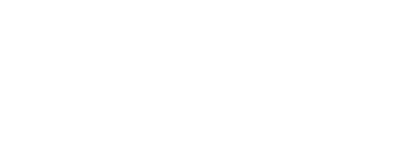 PV8